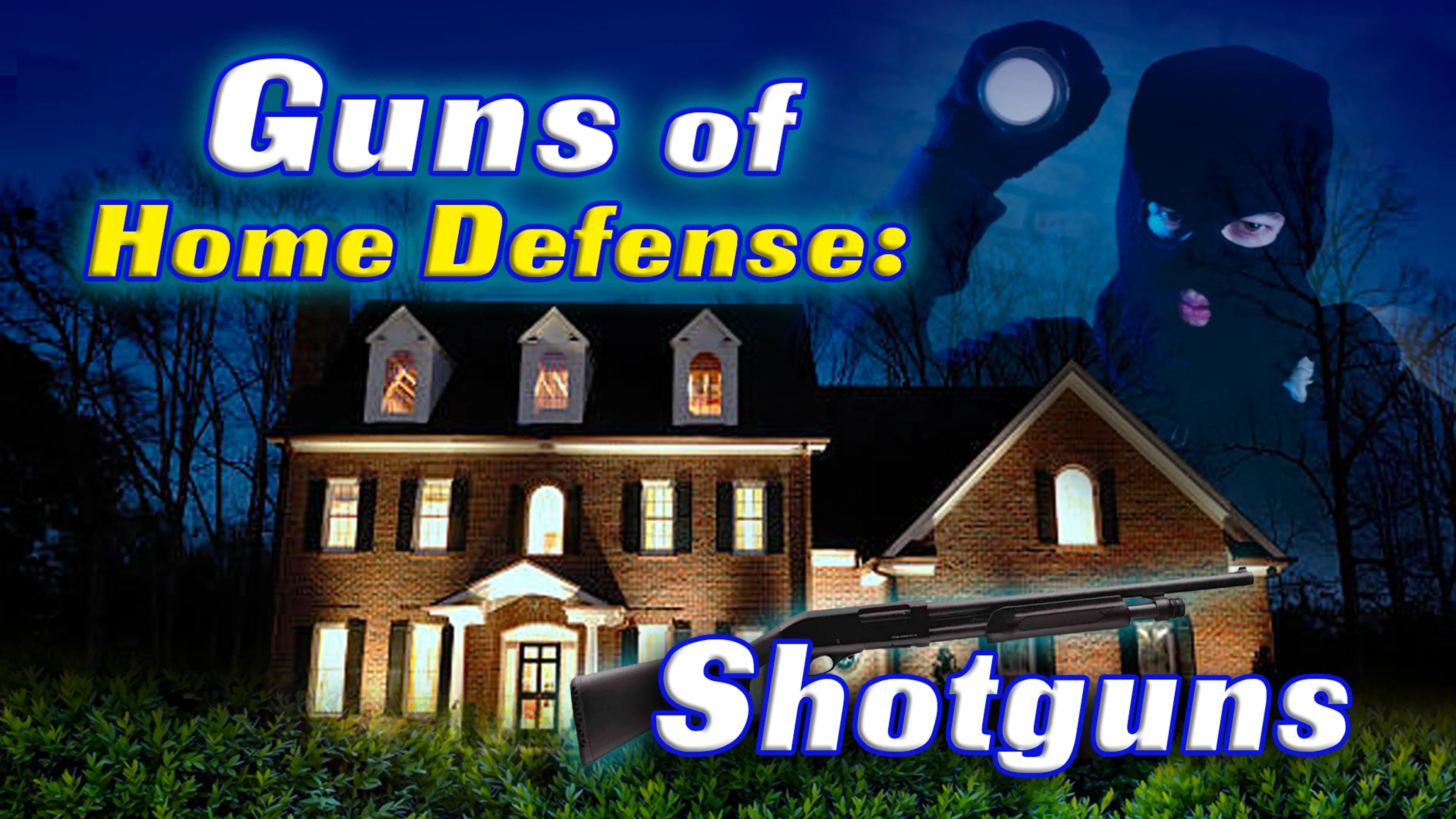 Guns of Home Defense: Shotguns poster